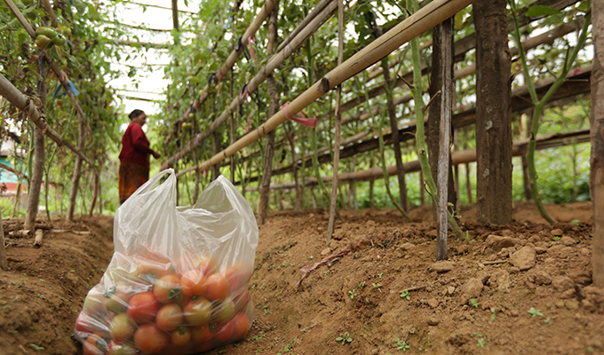 sustainable agriculture