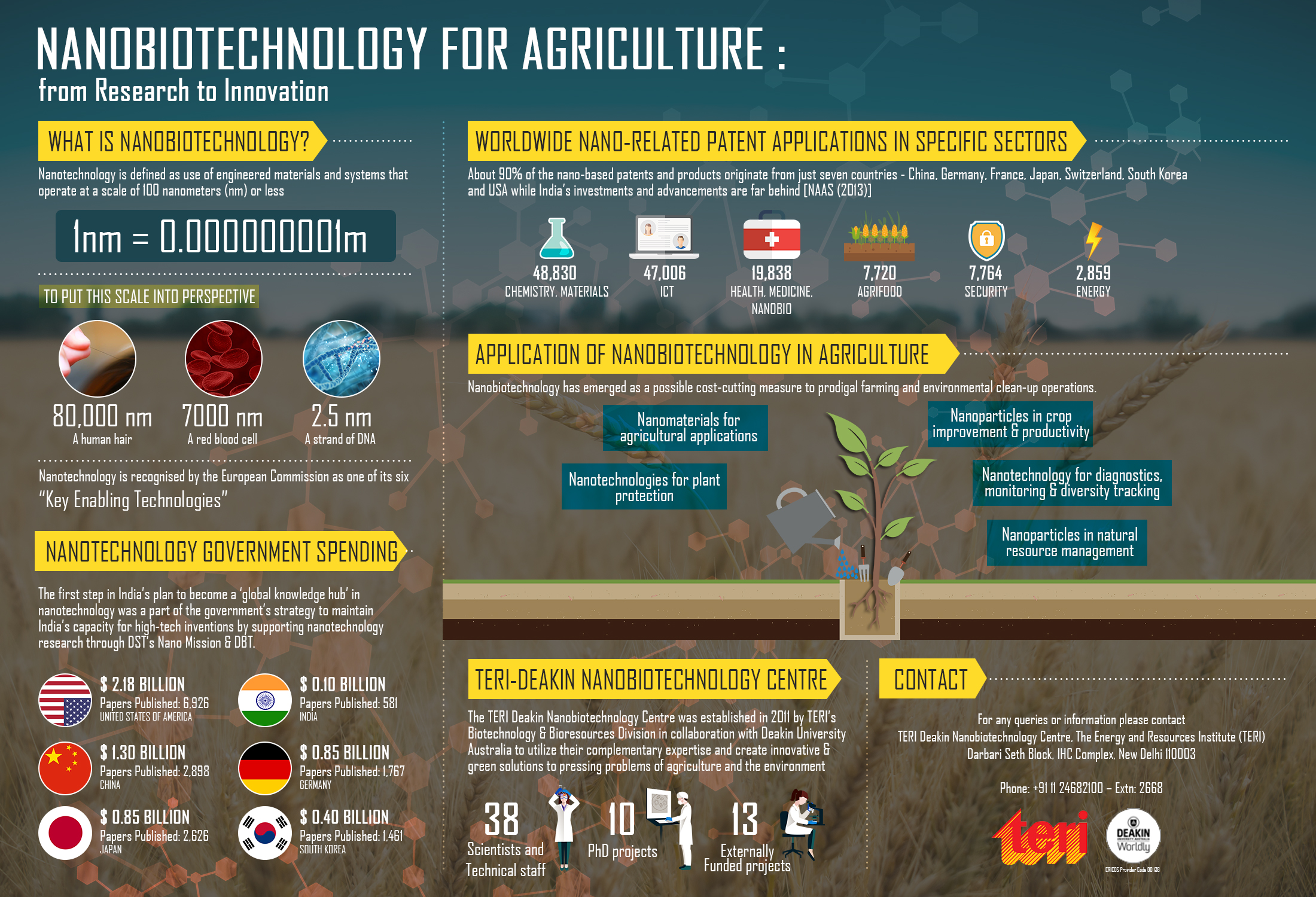 Nanobiotechnology