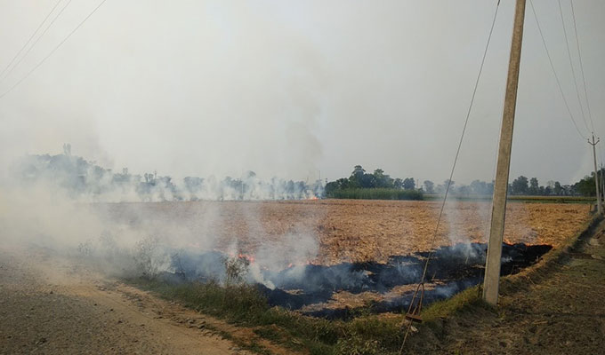 Crop residue burning