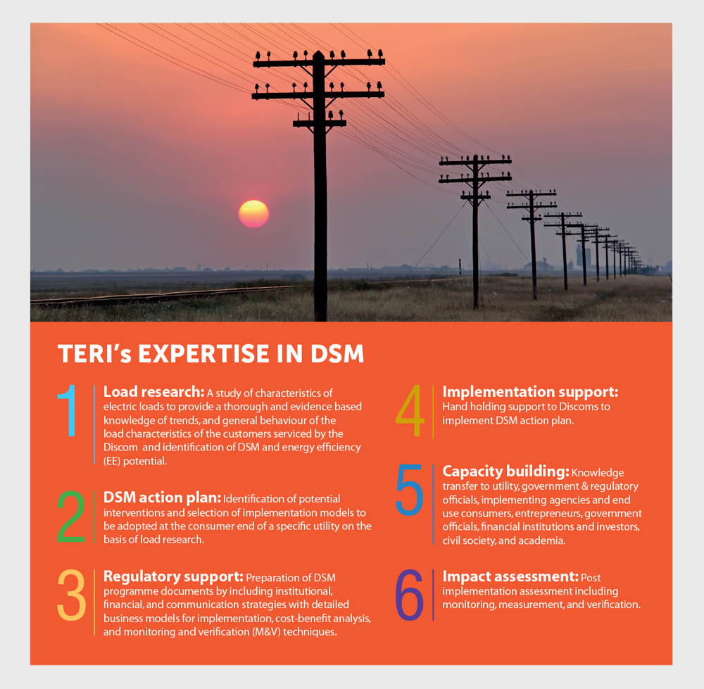 DSM Brochure