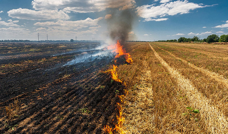 Stubble burning final