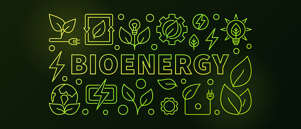 Bioenergy