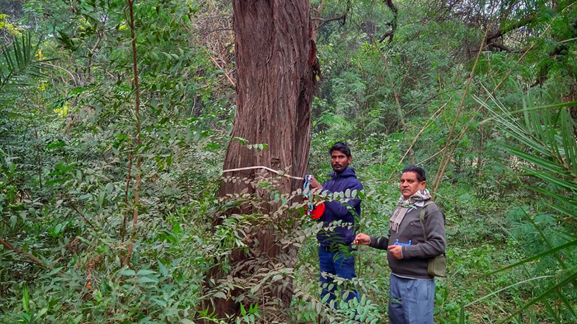 Delhi Zoo