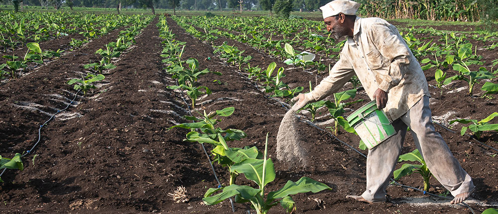 Fertilizer use