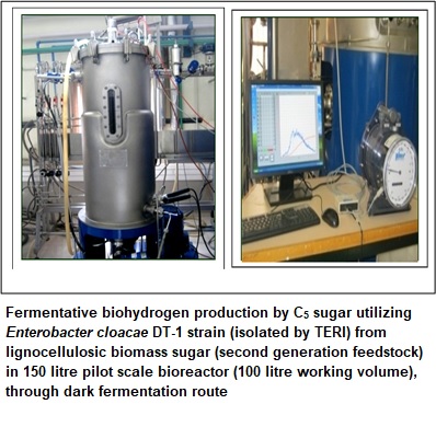 hydrogen production