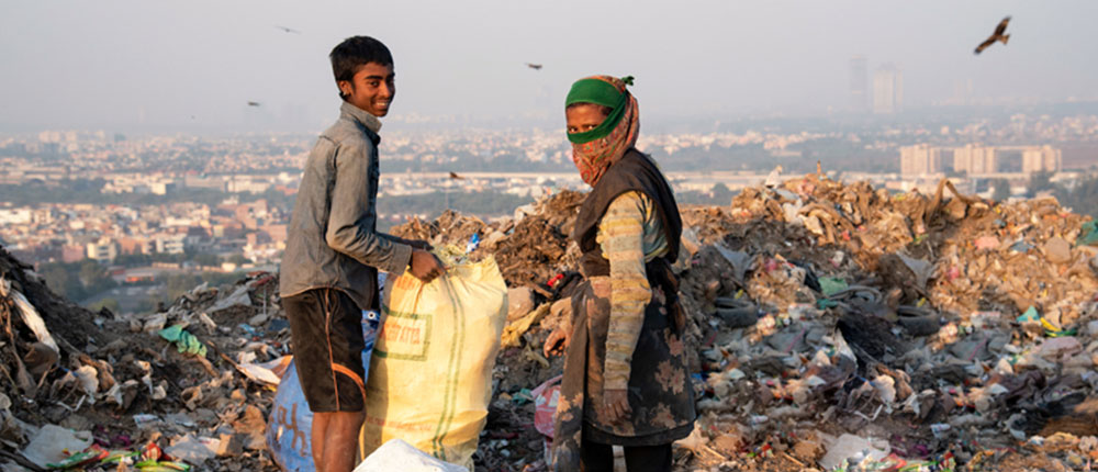 Municipal Solid Waste