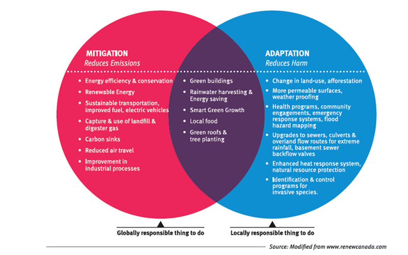 Mitigation