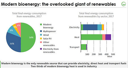 Modern bioenergy