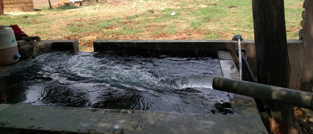 Punjab groundwater