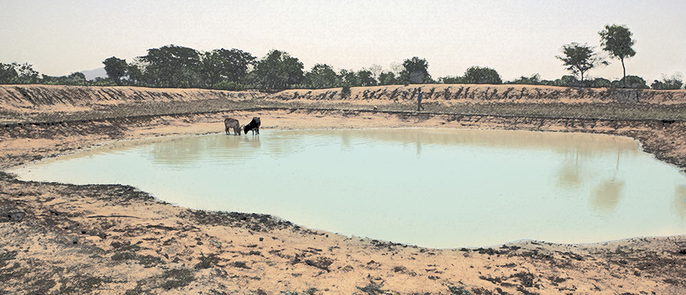 Restoring land degradation