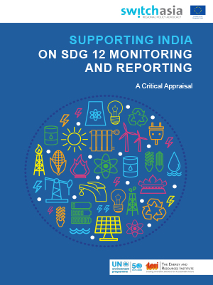 SDG12 paper